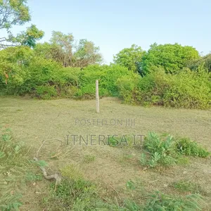 Beach Land for Sale