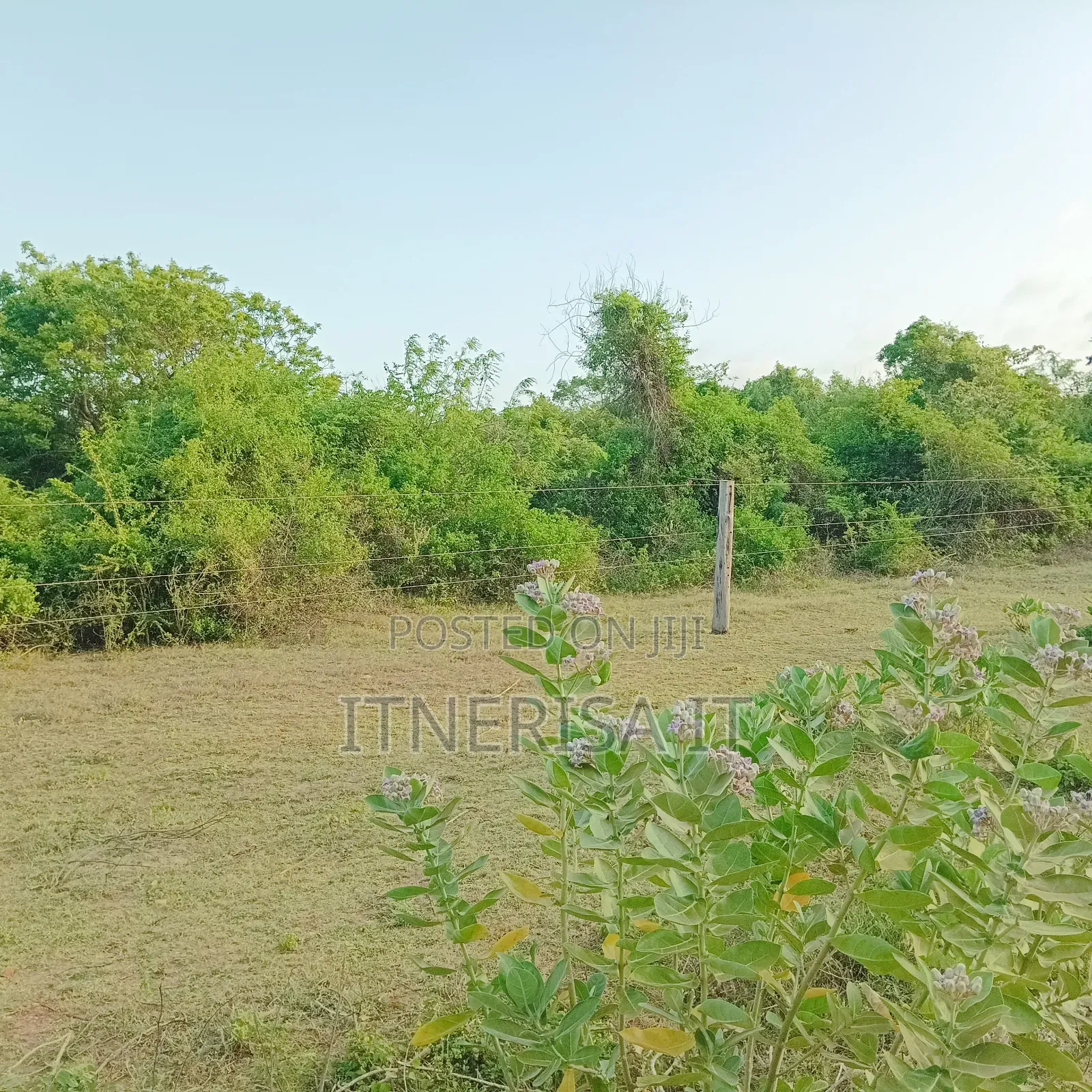 Beach Land for Sale