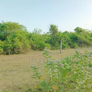 Beach Land for Sale