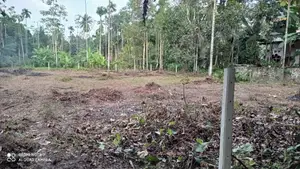 Bare Land for Sale