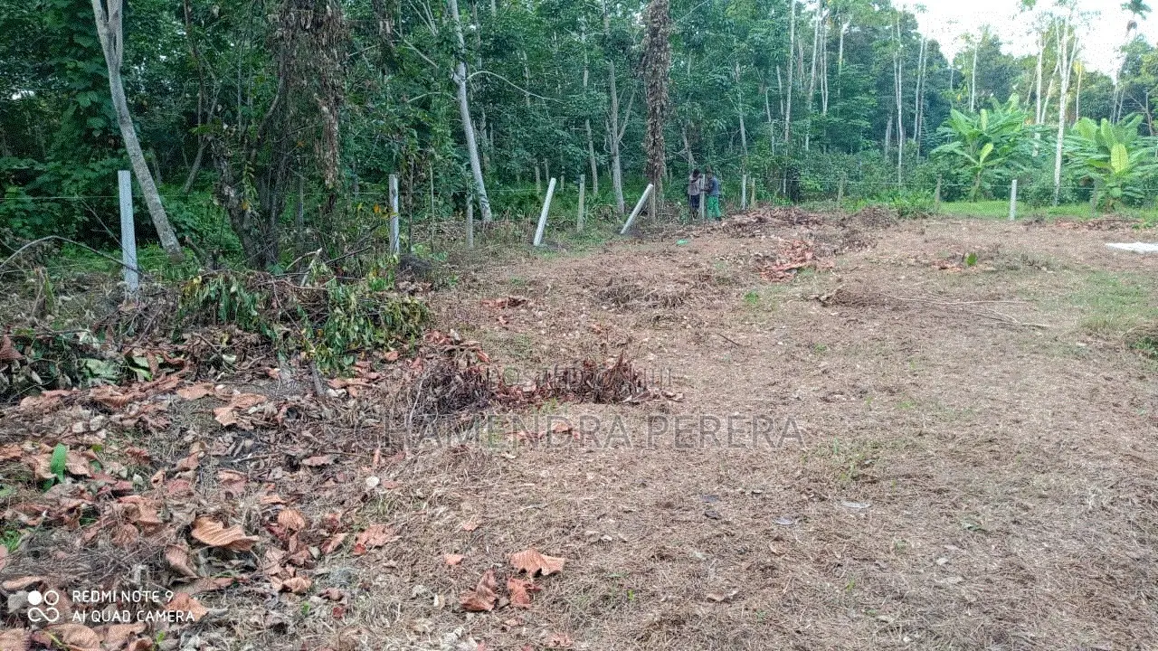 Bare Land for Sale