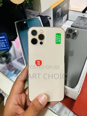 Apple iPhone 12 Pro (Used)