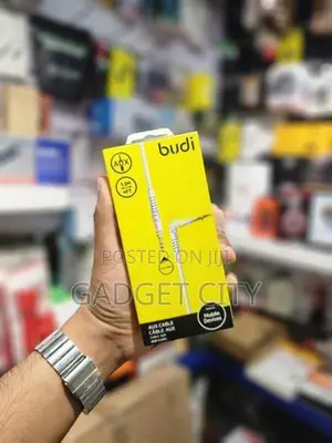 Budi 4 Pole Aux Cable Et Aux01