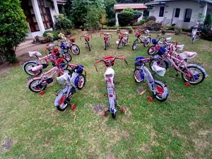 20 Size Kids Bicycle (Brand New)