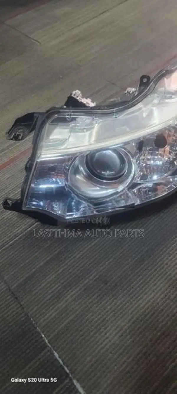 44 Stringray Head Lamp