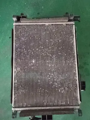 Suzuki Wagon R MH44S Radiator