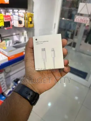 Type C To Lightning Cable
