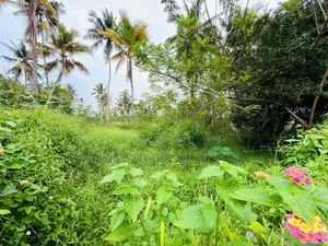 20 P Property Sale At Pannipitiya