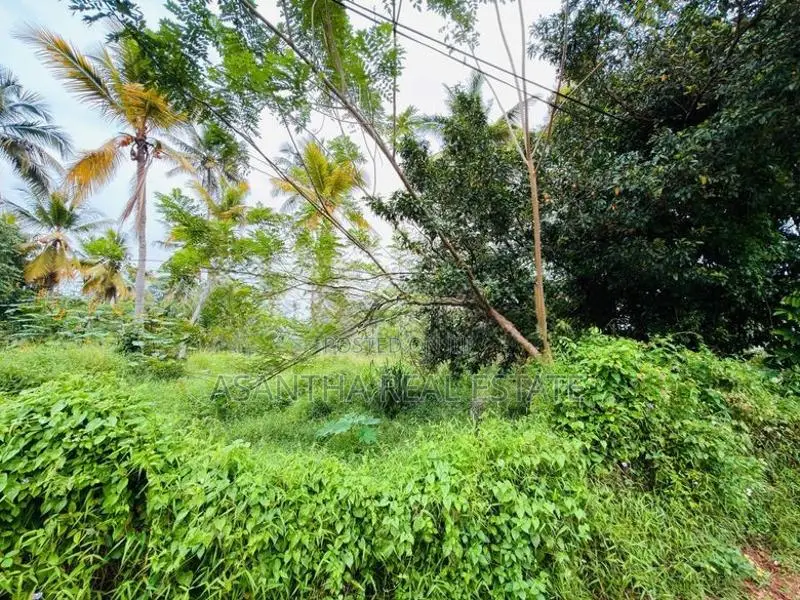 20 P Property Sale At Pannipitiya