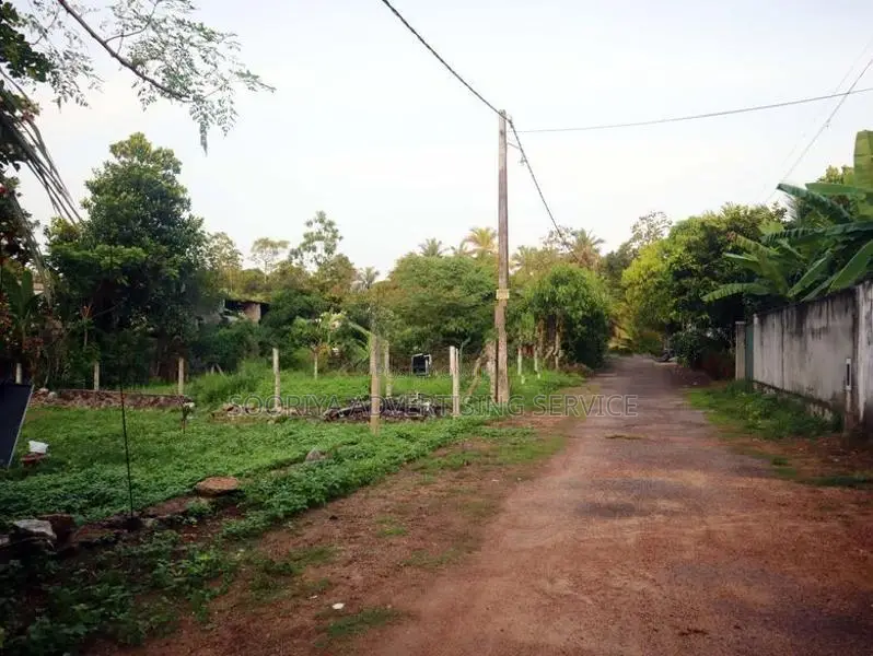 Land for Sale in Diyagama