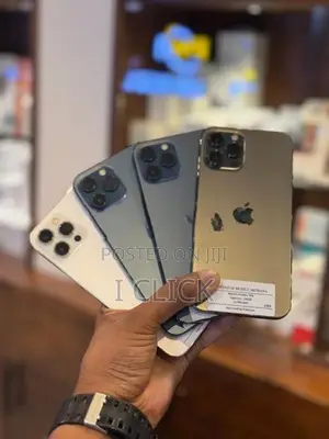 Apple iPhone 12 Pro Max 256GB (Used)
