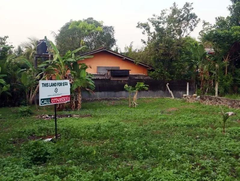 Land for Sale in Diyagama
