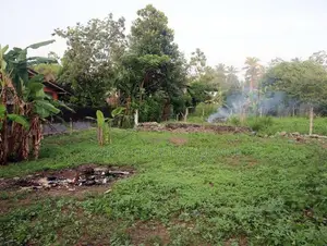 Land for Sale in Diyagama
