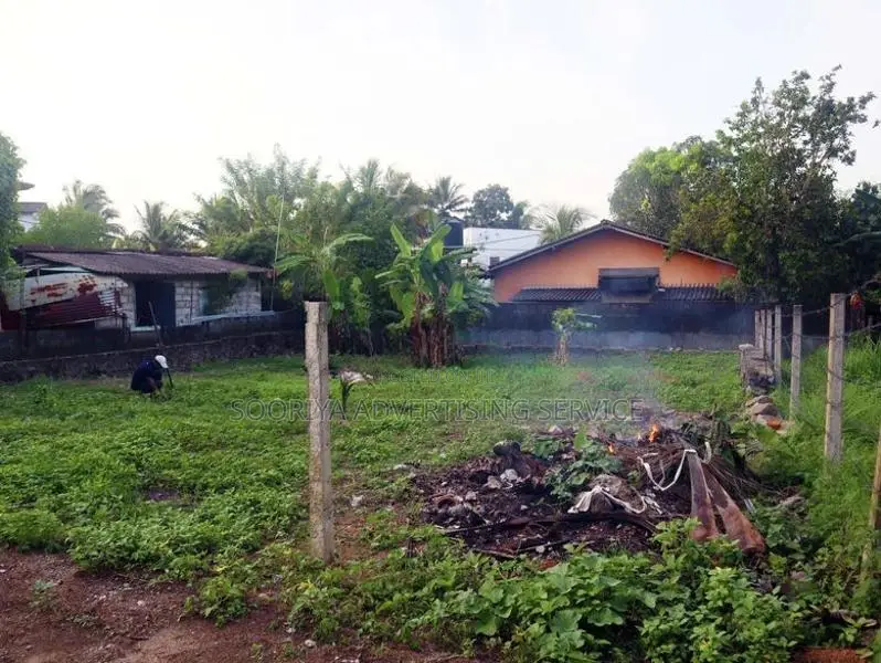 Land for Sale in Diyagama