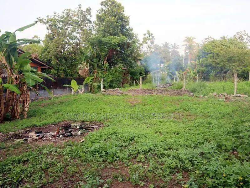 Land for Sale in Diyagama