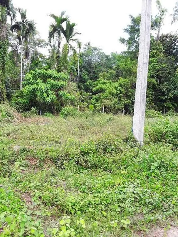 Land for Sale in Udupila (sp1167)