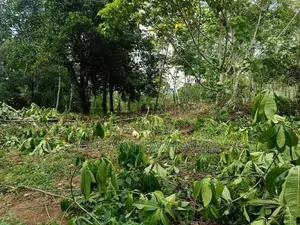 Land for Sale in Horana