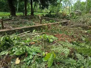 Land for Sale in Horana