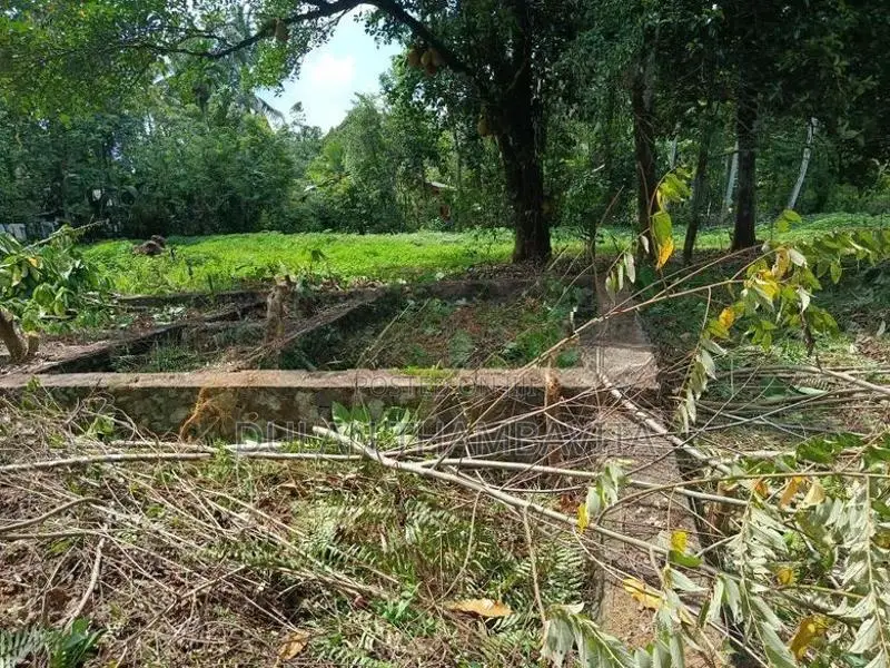 Land for Sale in Horana