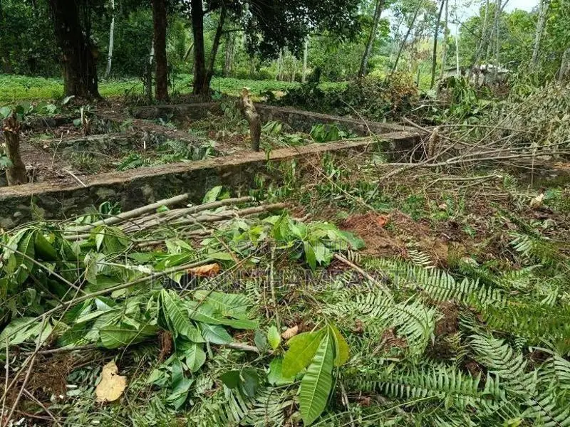 Land for Sale in Horana