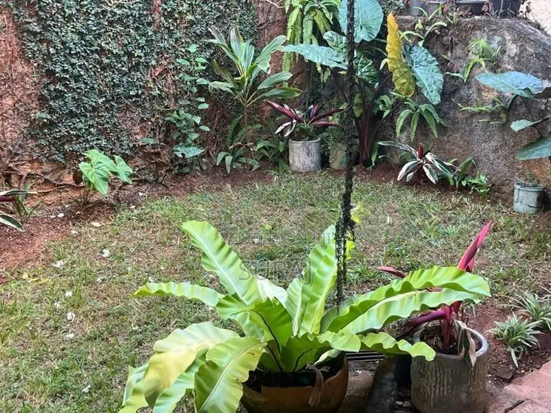 4 BR House with Garden for Rent Hantana