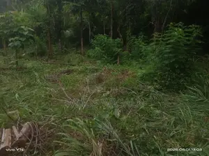 පර්චස් 67.7 ඉඩමක් විකිණීමට වරකාපොළ