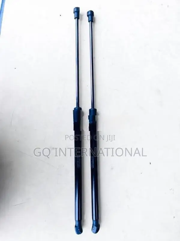 Toyota CHR Dicky Shocks
