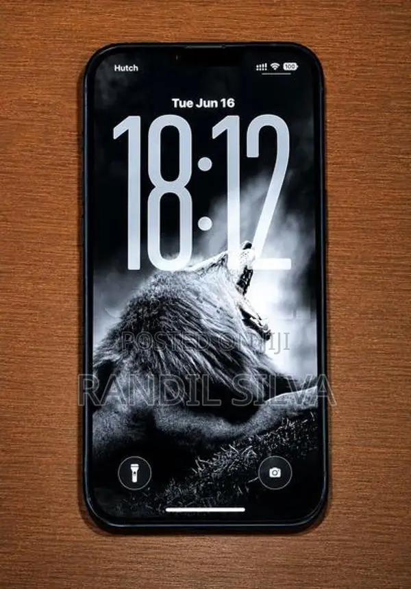 Apple iPhone 13 128GB (Used)