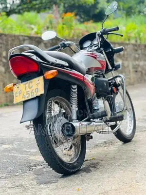 Hero Passion Plus 2009