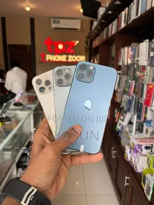 Apple iPhone 12 Pro 256GB (Used)
