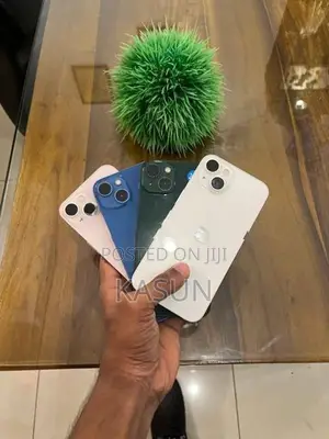 Apple iPhone 13 256GB (Used)