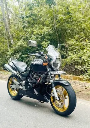 Honda Hornet 2010