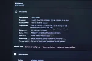 Msi Gtx 1650 / 16GB Ram 256 SSD Core i5 10th Gen Laptop