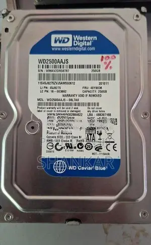Hard Disk 250GB