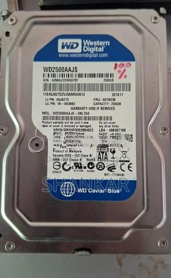 Hard Disk 250GB