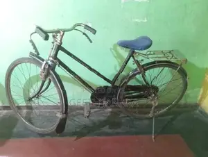 Lumala Ladies Bicycle