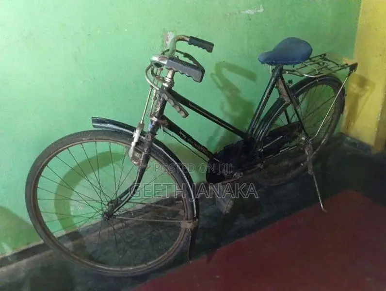 Lumala Ladies Bicycle