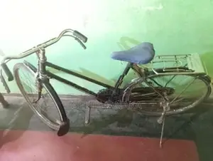Lumala Ladies Bicycle