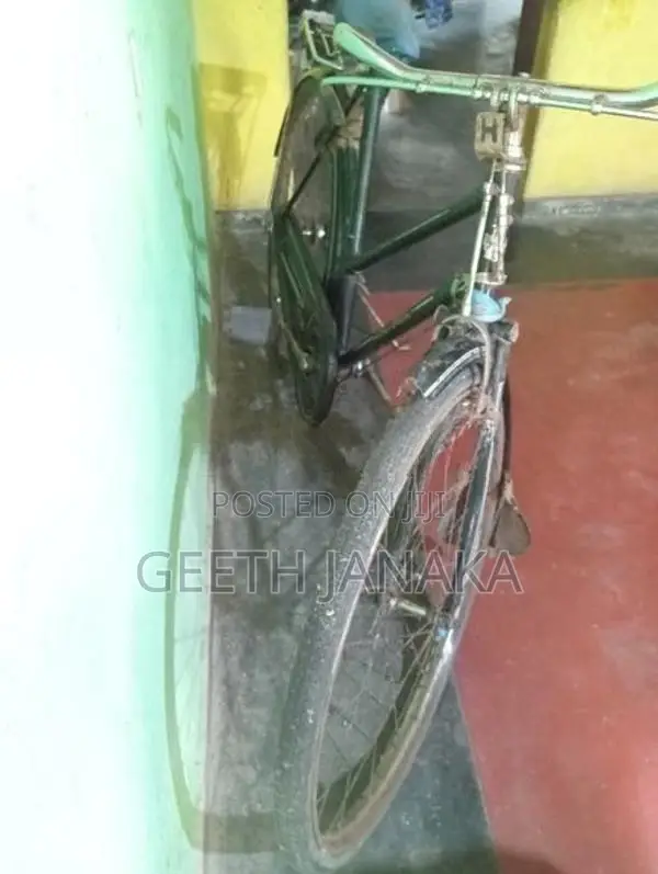 Lumala Ladies Bicycle