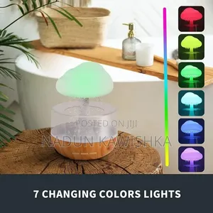 *Rain Cloud Humidifier Essential Oil DiffuserAtmospheric NightLight