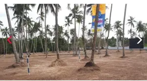 Land in Minuwangoda for Sale