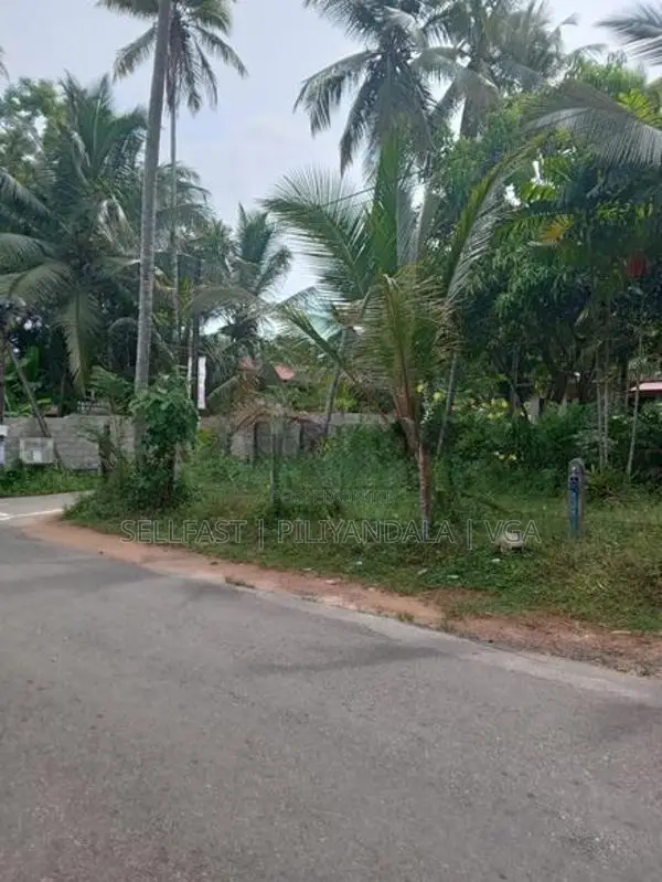Land For Sale Meegoda