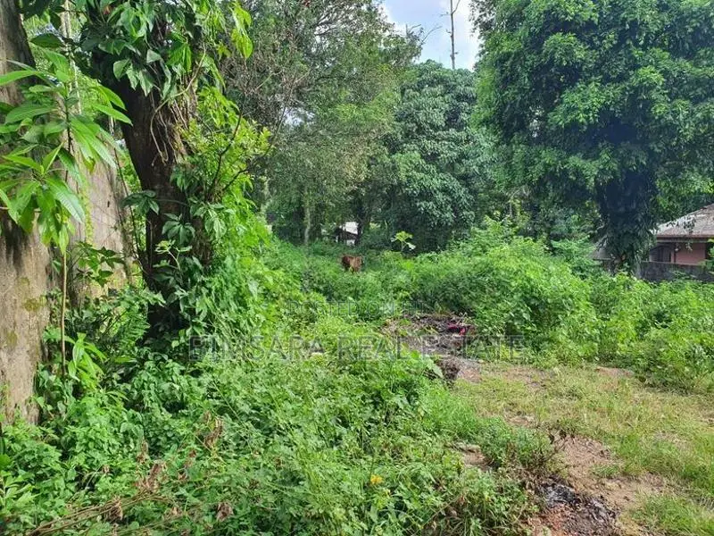 35.6P Veeravikum Mawatha, Pelawaththa, Battaramulla (SL 14421)