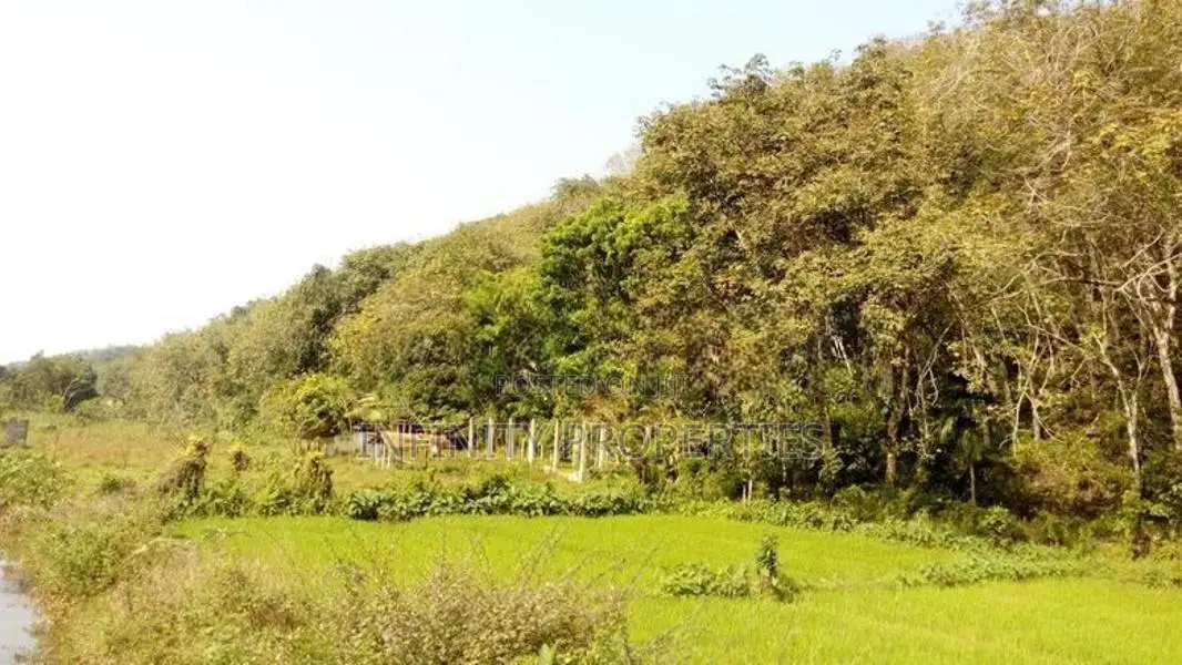 19 Acre Land Sale at Nebada Kalutara