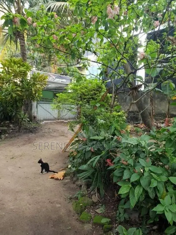 32 Perches Land Sale in Ratmalana
