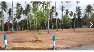 Land in Minuwangoda for Sale