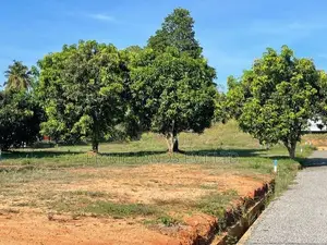 Land for Sale in Kurunegala