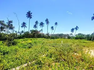 200 P Beach Front Land Sale At Tangle Rekewa Road