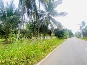 40P Superb Land Facing Kirindiwela – Weliweriya Main Rd