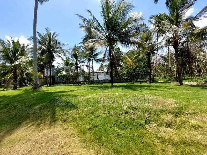 Villa For Sale Coconut Estate Girihulla CHJ25552